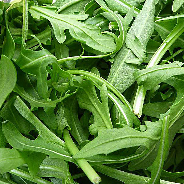 ТМ КОУЕЛ Рукола Гудітта 50г