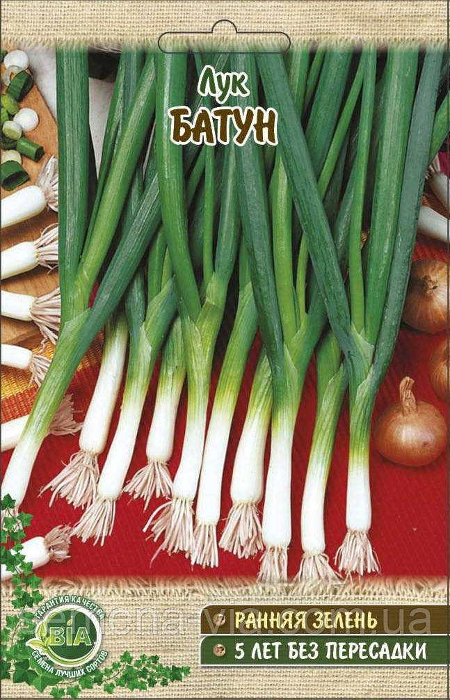 Лук Батун (5 г.) (в упаковці 10 пакетів), фото 1