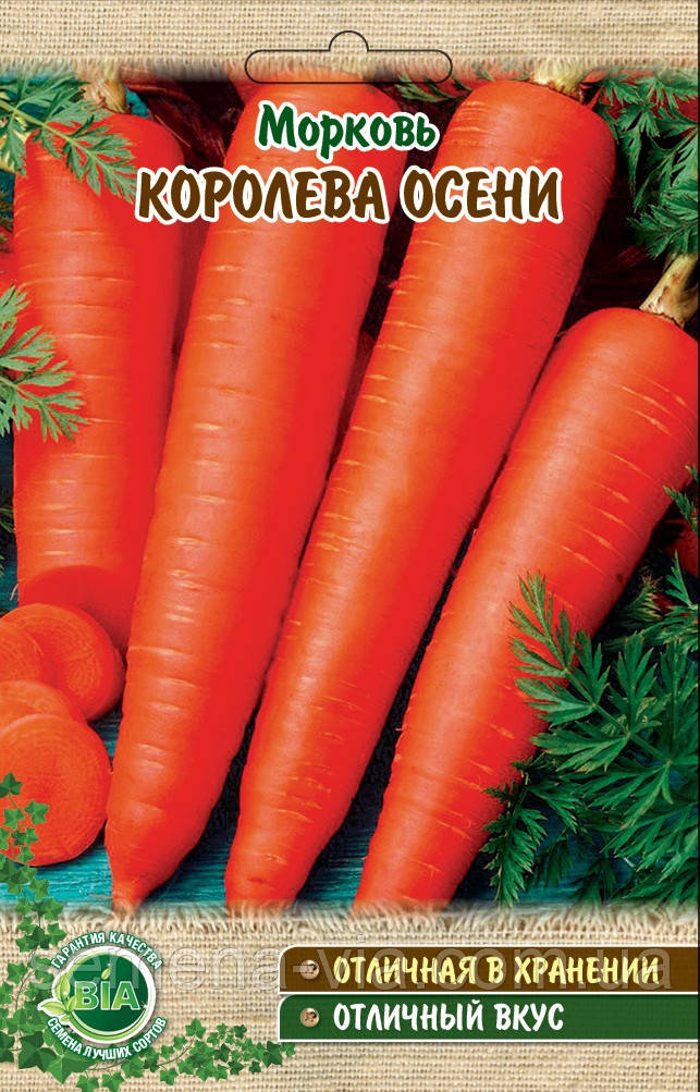 Морква Королева осені вага (вага 10 г.) (в упаковці 10 шт.)