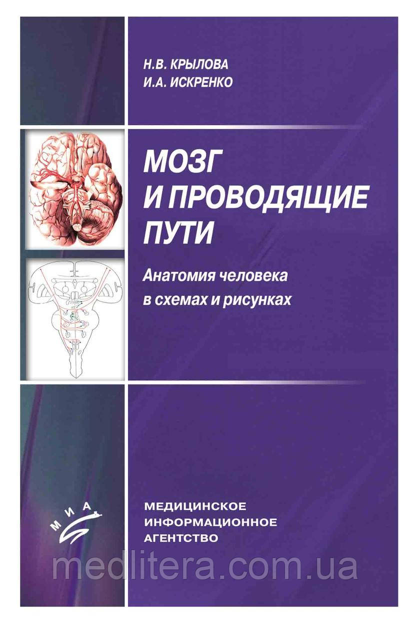 Крилова Н.В. Искренко І. А. МОЗОК І ПРОВІДНІ ШЛЯХИ. АНАТОМІЯ ЛЮДИНИ В СХЕМАХ І МАЛЮНКАХ