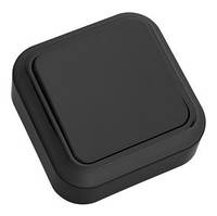 Вимикач А16-131 накладної одинарний Пралеска BYLECTRICA