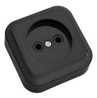 Розетка РА16-255 накладна одномісна Пралеска BYLECTRICA