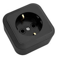 Розетка РА16-254 накладна одинарна з заземленням Пралеска BYLECTRICA