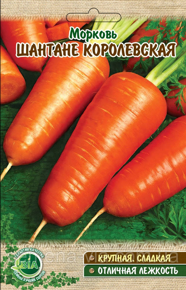 Морква Шантане королівська (вага 20 г) (в упаковці 10 шт.)