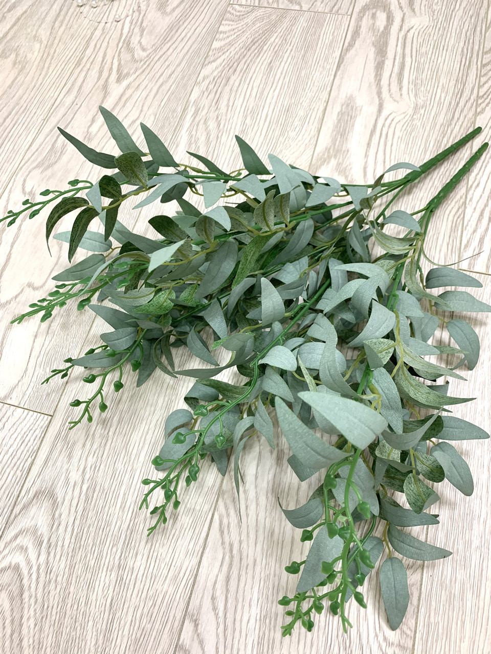 Декоративний рускус (глиця 50 см)
