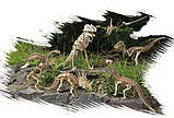 Конструктор динозавр Ділофозавр 41 деталь, фото 8