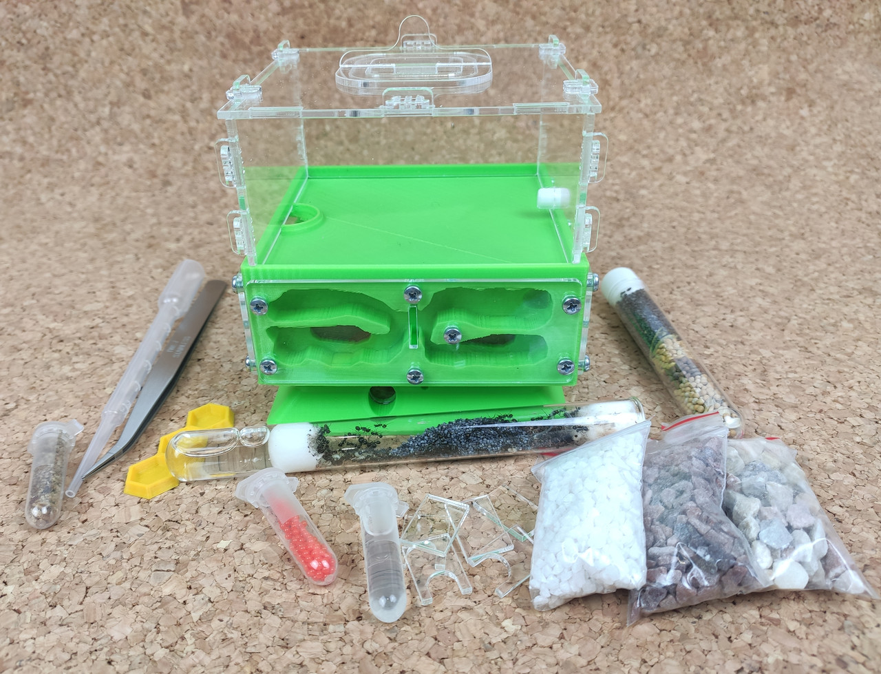 Повний комплект : мурашина ферма "КУБ" + мурахи messor structor (жнець), корм та аксесуари, фото 1