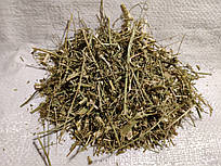 Доннік жовтий, трава Буркун