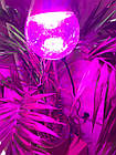 Оптимальна фітолампа 18Вт Е27 для рослин, повний спектр, фото 5