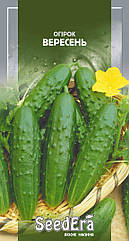 Огірок Вересень (до морозів) 1 г