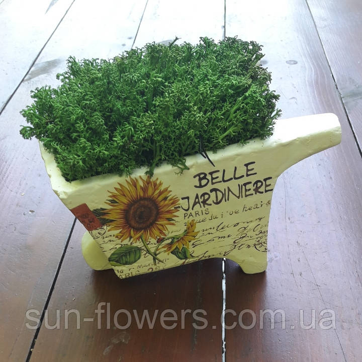 Керамічне кашпо тачка з мохом, фото 1