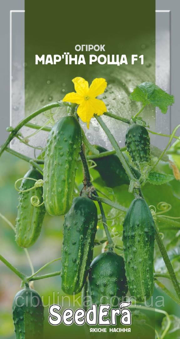 SeedEra. Насіння огірка Мар'їна Роща F1,10 шт., фото 1