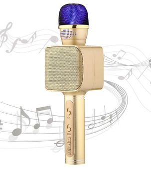 Караоке мікрофон з Bluetooth колонкою WSTER WS-858 Золотий, фото 2
