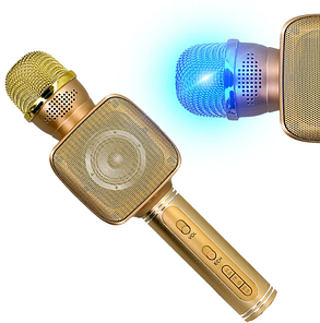 Караоке мікрофон з Bluetooth колонкою WSTER WS-858 Золотий, фото 2