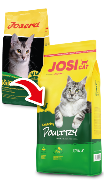 Сухой корм для кошек с домашней птицей Josera JosiCat Crunchy Poultry 10 кг - фото 2 - id-p1126241501