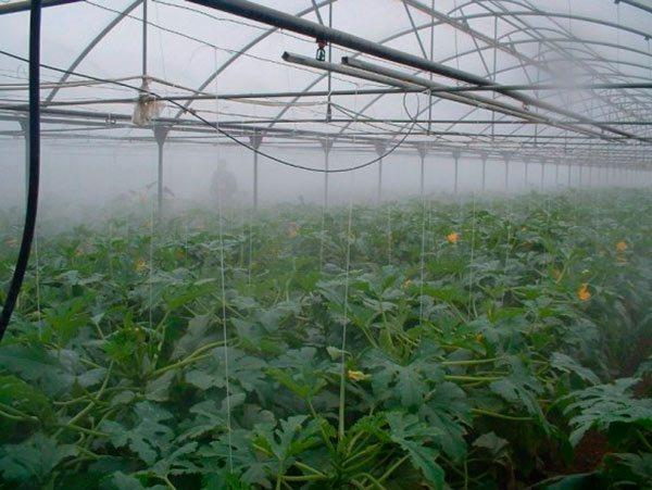 Система туманоутворення Дощувачі