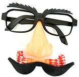 Окуляри з носом, вусами та свистком, фото 3