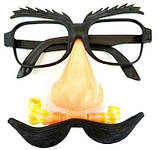 Окуляри з носом, вусами та свистком, фото 2