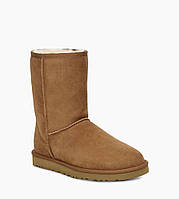 Мужские сапоги UGG. Оригинал