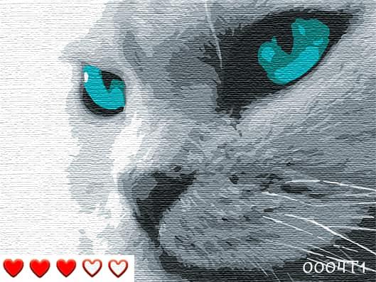 Картина за номерами (малювання за цифрами, живопис) 0004Т1 (Котячі очі)