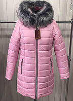 Куртка женская зимняя Парка Софи, размеры от 42 до 58, разные цвета Розовый, 54