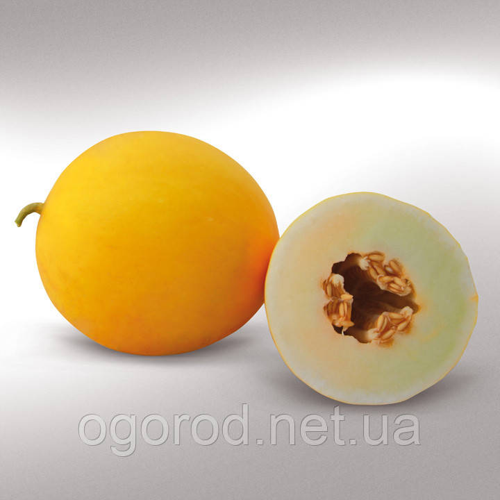 Дыня KS 7066 F1 10 шт Kitano Seeds