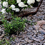 Крихта "Кам'яне Дерево" гнейс (ціна за 1 кг від 1 тони) / крихта кам'яна із сланцю для клумб, фото 7