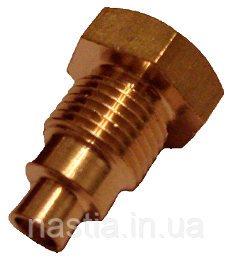 9991.212 Заглушка тримача бойлеру(латунна), фото 1