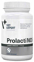 Пролактино Ларж Брид Prolactino Large Breed Vetexpert при ложной щенности сук весом более 15 кг, 40 таблеток