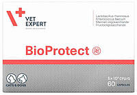 Біопротект Bioprotect Vetexpert препарат для лікування харчових розладів у собак і кішок, 60 капсул