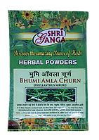Бхумі амла - гепатит, жовтяниця, діабет, гіпотонія, анемія, нефрит, цистит, пієліт, камені в нирках, набряки ...