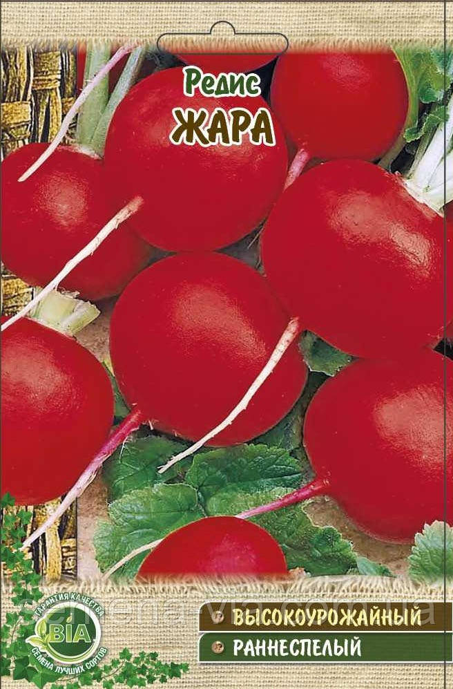 Редис Жара (20 г. )  (в упаковці 10 шт.), фото 1
