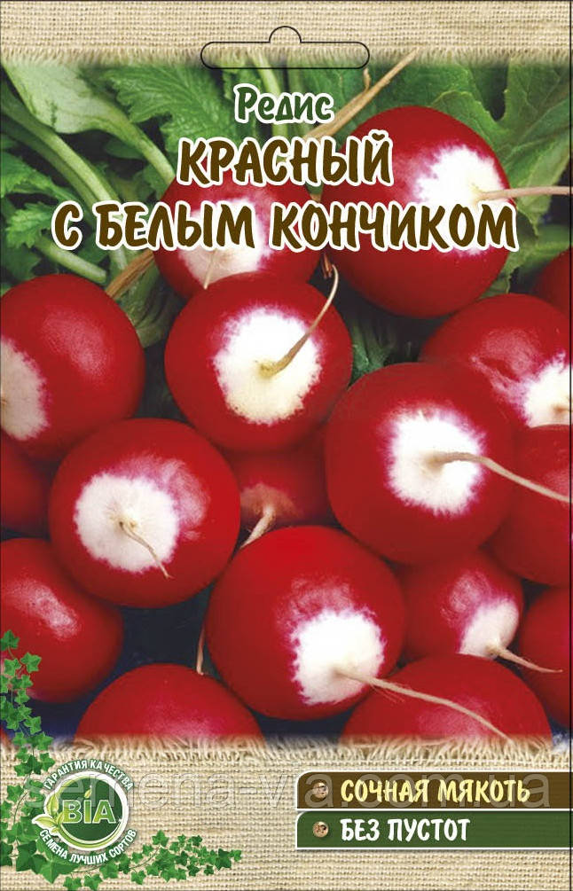 Редис Червоний з білим кінчиком (вага 20 г.) (в упаковці 10 шт.)