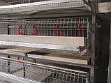 Клітка для перепелів 3-поверхова для утримання 100 - 120 голів птиці., фото 4