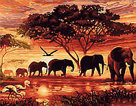 Картина по номерам "Африка" ,Strateg, 50 x 40 см