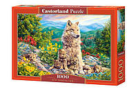 Настольная игра Castorland puzzle Пазл Новое поколение, 1000 эл. (C-104420)