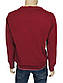 Класичний чоловічий светр в бордовому кольорі Taddyo 0280 НК34, фото 3