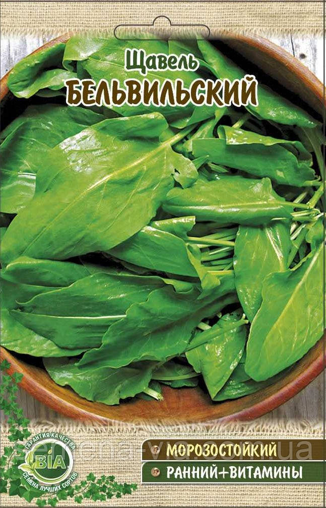 Щавель Бельвійский (5 г.) (в упаковці 10 шт)