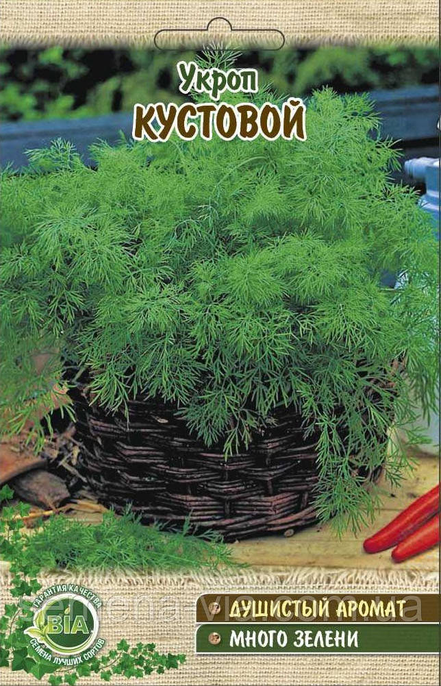 Кріп кущовий (20 г)  (в упаковці 10 шт.)