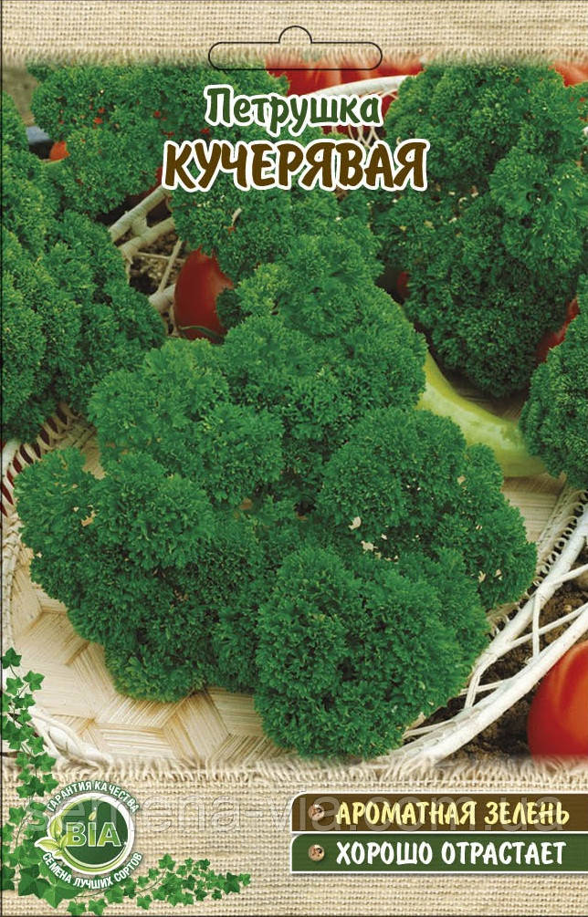 Петрушка кучерявая (20 г.) (в упаковці 10 шт.)
