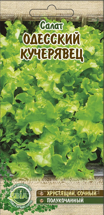 Салат Одеський кучерявець (3 г) Насіння ВІА (в упаковці 20 шт.)