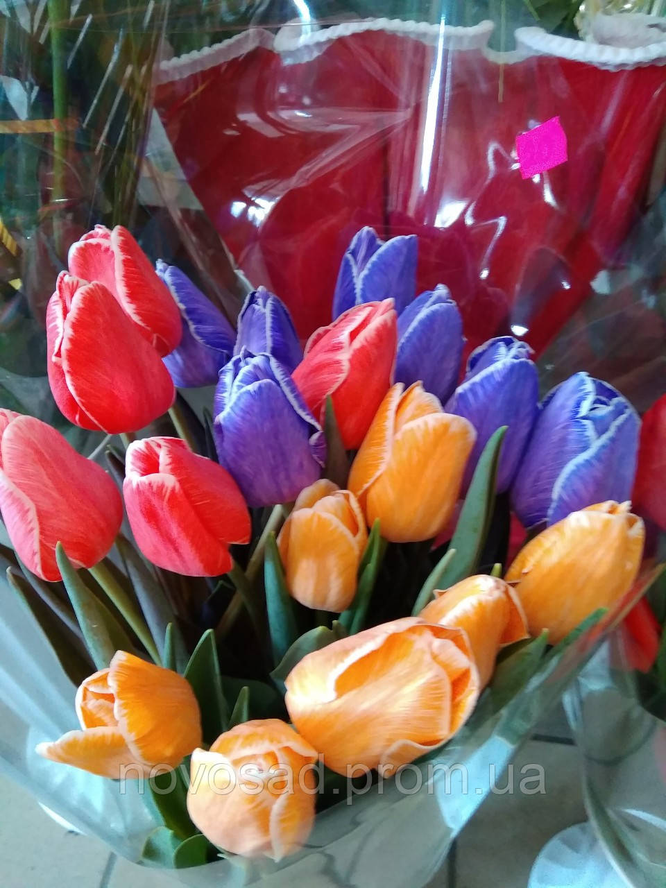 Сухая караска для срезанных цветов 50г (Польша) - фото 6 - id-p1303728318