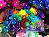 Флористична фарба для зрізаних квітів 50 г (Польща), фото 7