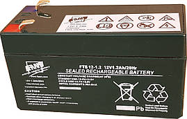Акумуляторна батарея FAAM серії FTS 12-1,2