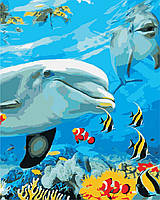 Картина за номерами "Посмішка дельфіна" 40*50см, фото 1