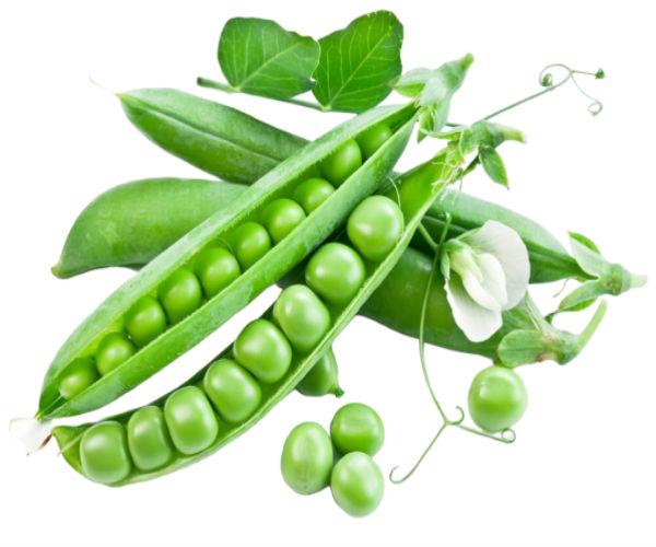 Насіння гороху Сомервуд 1 кг Syngenta