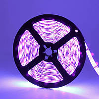 Світлодіодна стрічка UV SMD 5050 60 LED/m, IP65, ультрафіолетова