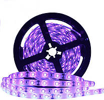 Світлодіодна стрічка UV SMD 5050 60 LED/m, IP20, ультрафіолетова