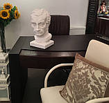 Стіл офісний шкіряний Smania, фото 9