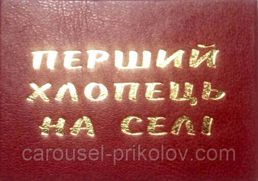 Посвідчення перший хлопець на селі